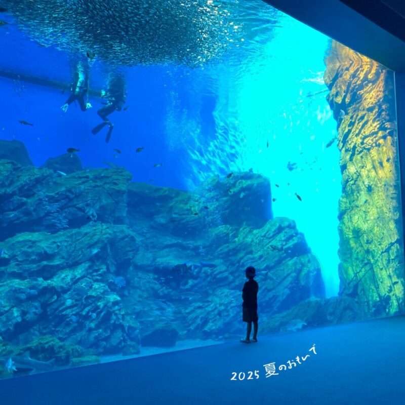 仙台うみの杜水族館